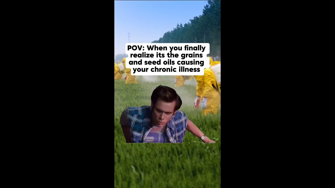 when you finally realize it's the grains and seed oils that are causing your chronic illness