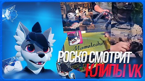 🐺 Роско смотрит ВК Клипы | ЧАСТЬ 5