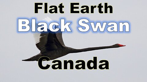 Flat Earth Black Swan - Canada