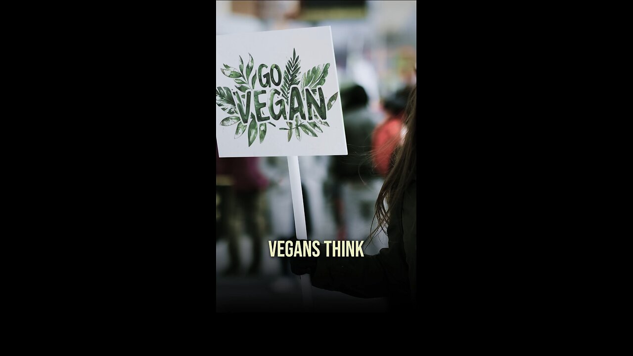 Thinking about going vegan? Here’s what we have to say about that!