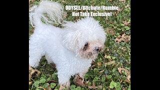 Rumble/Odysee/Bitchute Exclusive Hot Take News Blast! May 9th 2025
