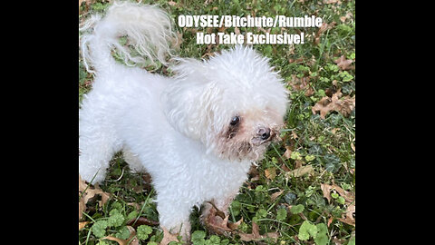 Rumble/Odysee/Bitchute Exclusive Hot Take News Blast! May 9th 2025