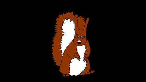 Wednesday Stream