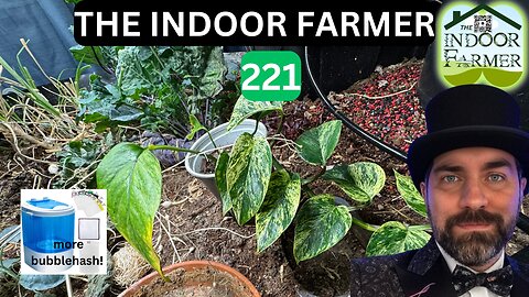 The Indoor Farmer ep 221, The World Keeps Turning & Everybody's Gotta Eat. Let's Grow