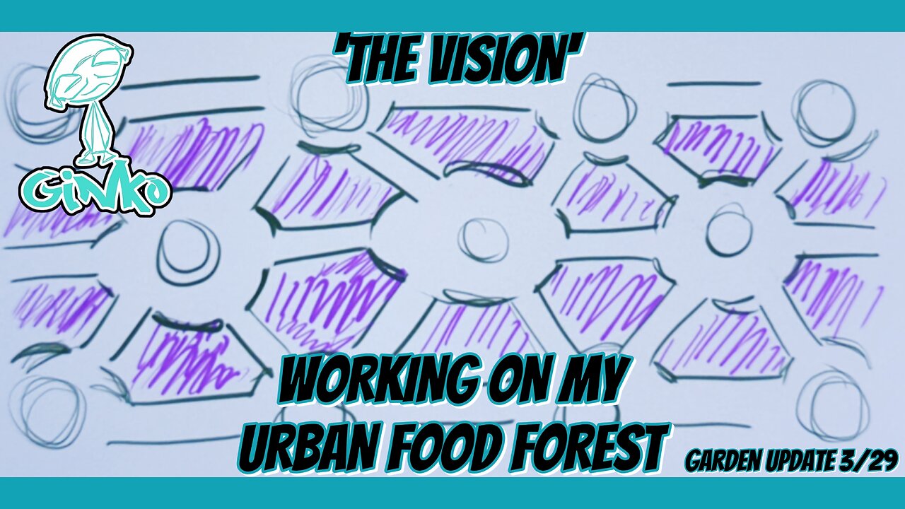 Working on my Urban Food Forest | Garden Update 3/29