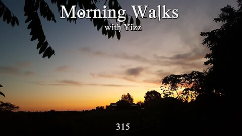 Morning Walks with Yizz 315