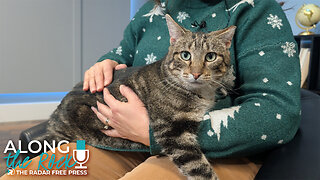 Kerry Underfoot Is Stealing Hearts (and the Spotlight)