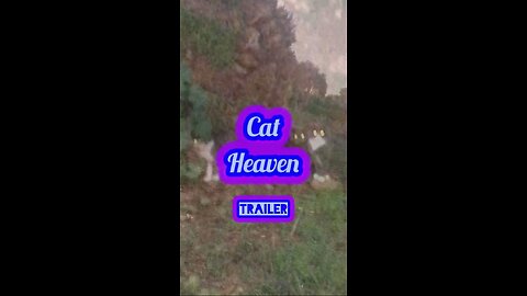CAT HEAVEN [trailer]