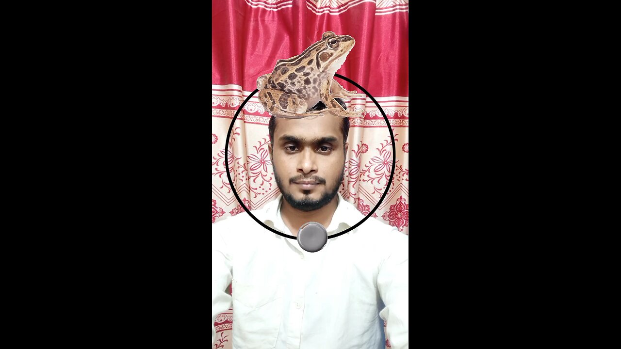 ব্যাঙটি ঘুরিয়ে দেখান ২০ #reels #puzzle #challenge #viralreels #tending #foryou #saggestforyou