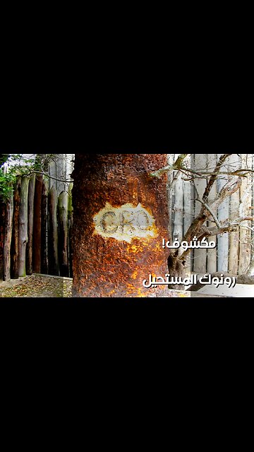 رونوك: سر الكلمة الأخيرة يكشف المستحيل! ️