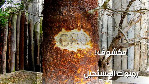 رونوك: سر الكلمة الأخيرة يكشف المستحيل! ️