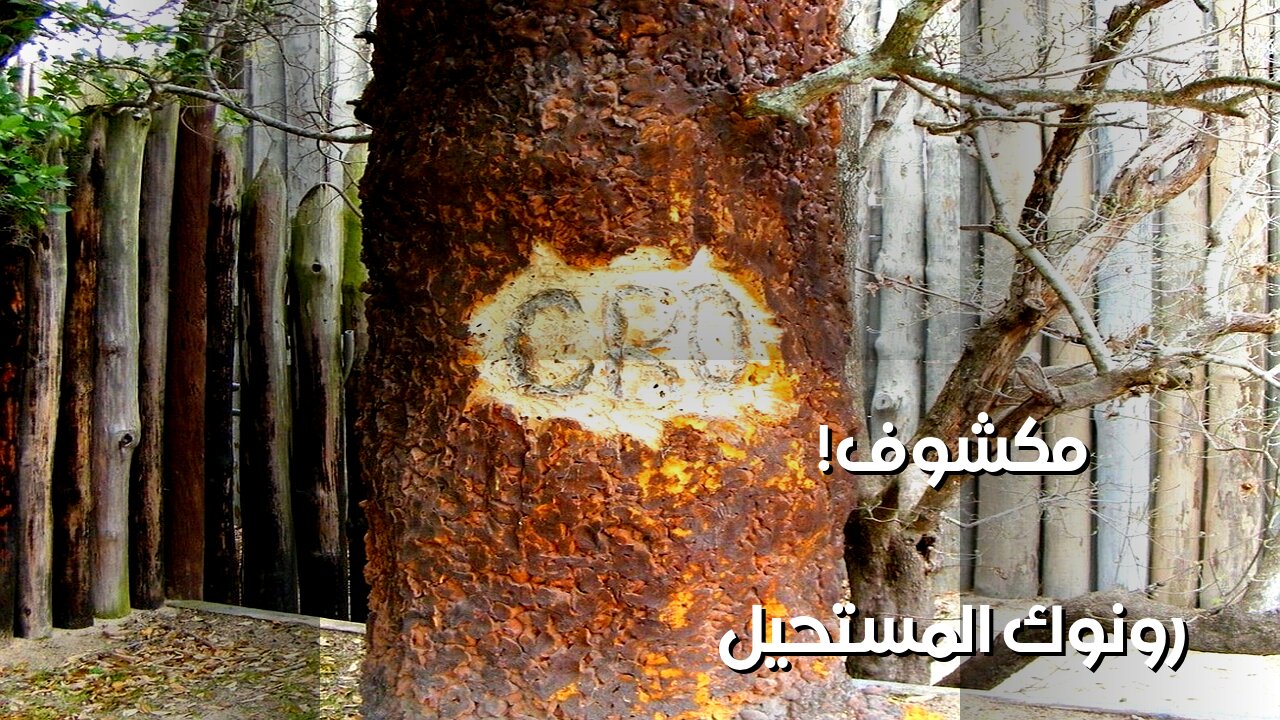 رونوك: سر الكلمة الأخيرة يكشف المستحيل! ️