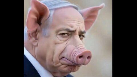 IS THE DEEP STATE BEGINNING TO GET PARANOID ?