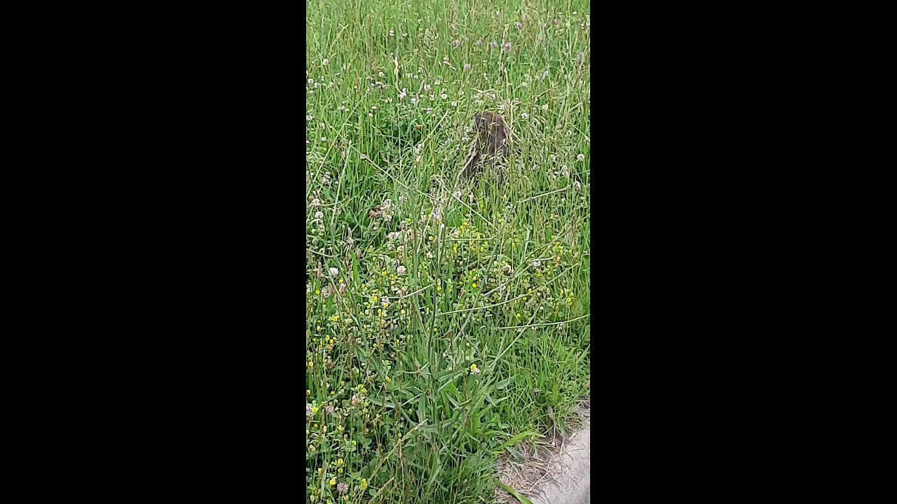 nature up close