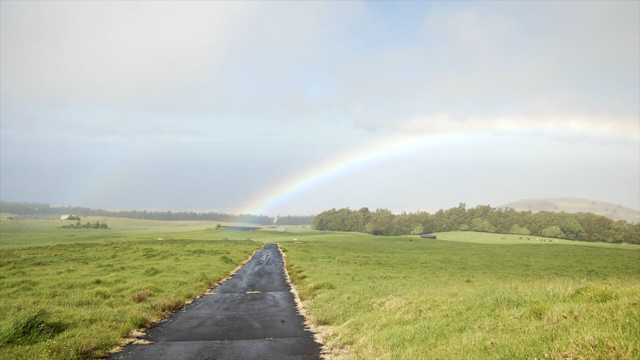 Rainbow over Meadow