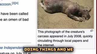 U.S. Government WEAPONIZED TICKS as Bioweapons – Congress FINALLY Orders SHOCKING