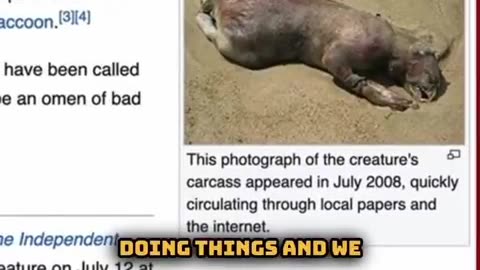 U.S. Government WEAPONIZED TICKS as Bioweapons – Congress FINALLY Orders SHOCKING