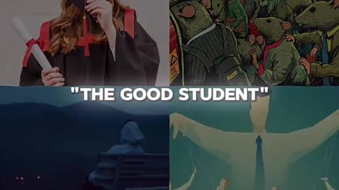 Become the great student to ride all of this.