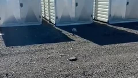 Metal Containers | USA Containers