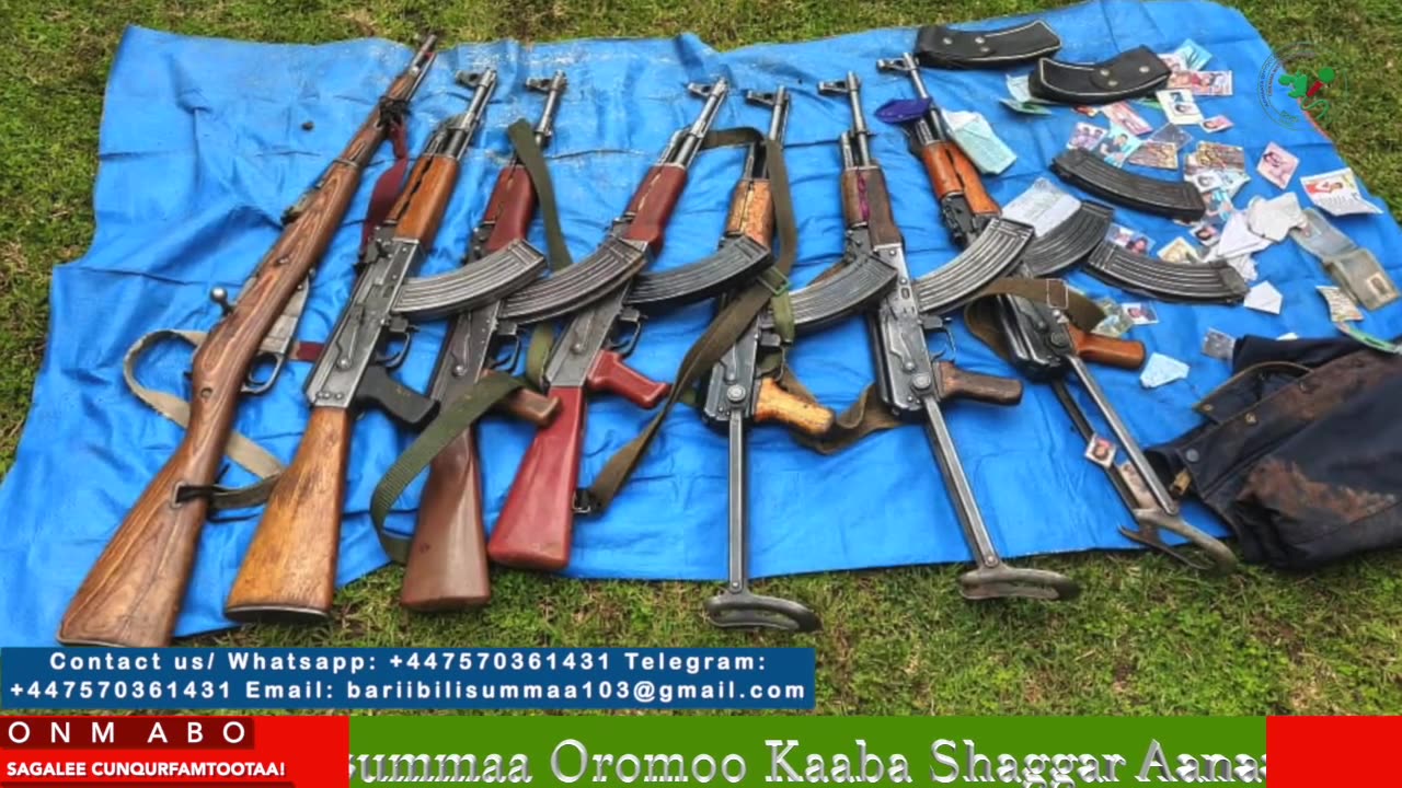 ONM-ABO Adoolessa 29-2025 itti dhiyaadhaa!