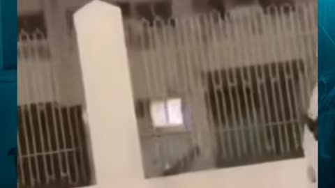 😨💥 Skinwalker Terror Unleashed! Watch This Shocking Footage | TheHauntingHour