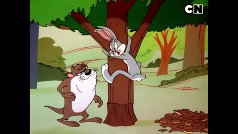 Looney Tunes 🐰| Coyote’s Craziest Bugs Plan! 🤪 | Funny Video