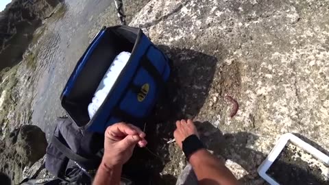 fishing with bobbit worm, e la uso sulla nuova canna da pesca_part6