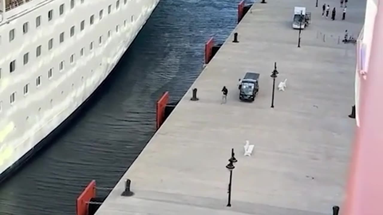 You snooze, you lose!