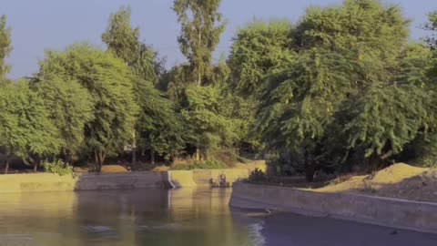 Village Life Video Naudero ❤ #maxrecords #larkana #sindh #pakistan