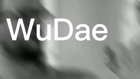 Wing Chun Den Haag 👉 wudae.com 👉 Body & Mind Connection 💥 Kung Fu 💥 Free Trial class