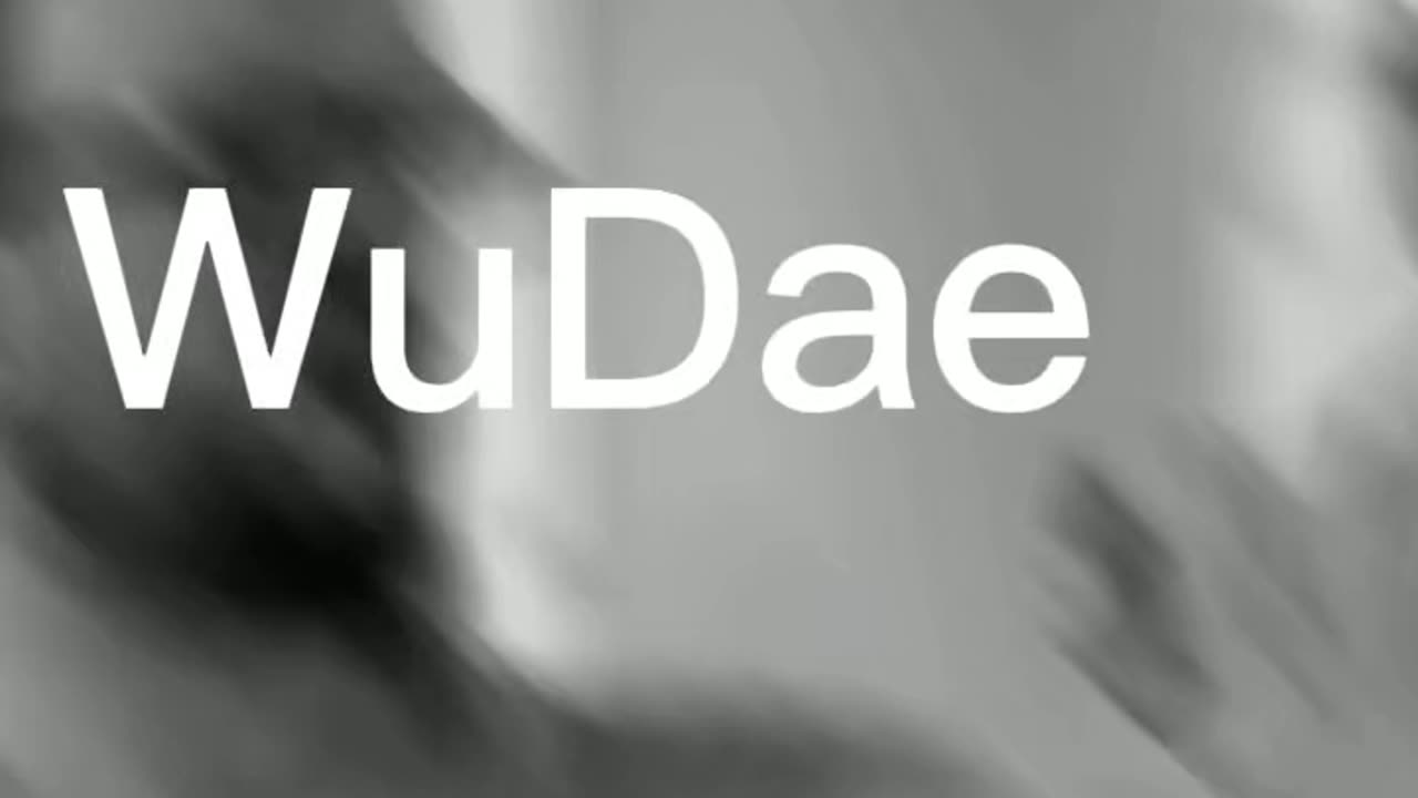 Wing Chun Den Haag 👉 wudae.com 👉 Body & Mind Connection 💥 Kung Fu 💥 Free Trial class