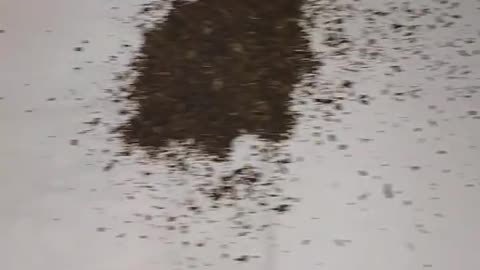 Herbata z grafenem cz.2