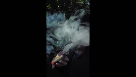 H. Upmann Vintage Cameroon.