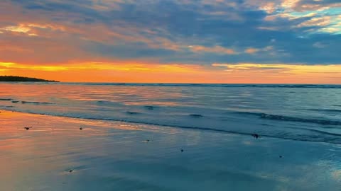 Mindful Meditation & Anxiety Relief