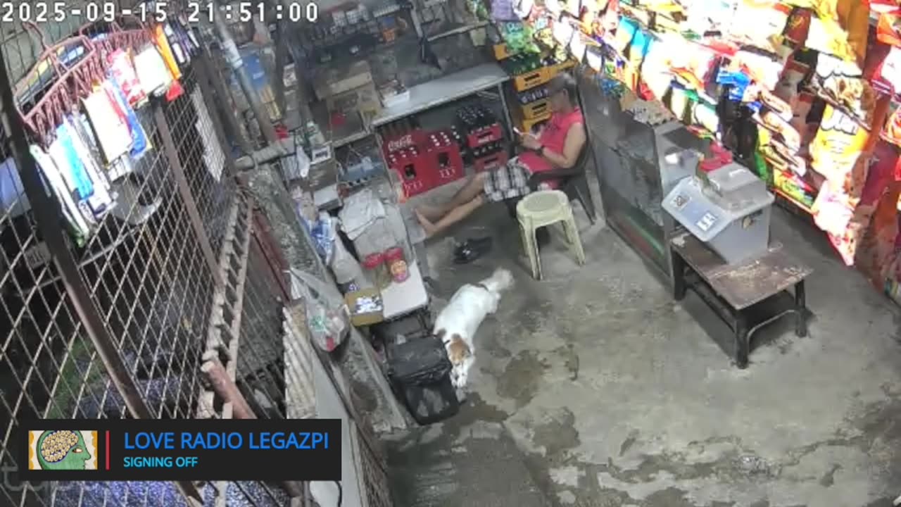 Mitsubishi Xpander 2019 Live