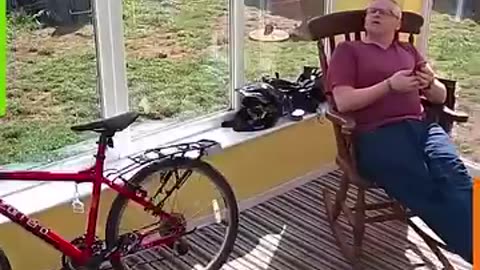 Fails So Random They Deserve a Trophy | Funniest Moments Caught on Camera