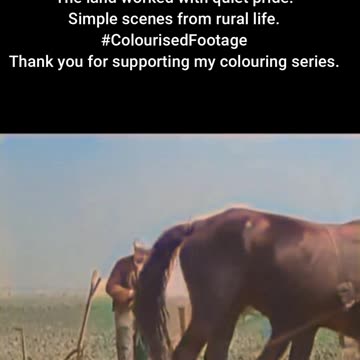 1937 Countryside Life Woman Waves and Farm Work Begins #ColourisedHistory