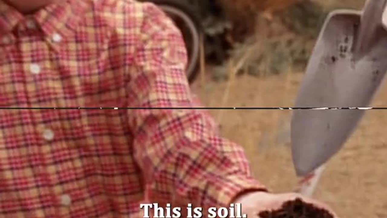 Malcolm in the middle clip