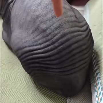 Laughing is the best medicine.