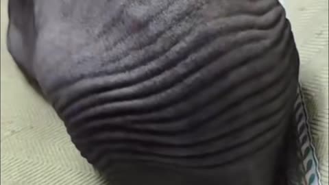 Laughing is the best medicine.