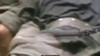 Amazing: How Terrifying Was Combat In Vietnam?
