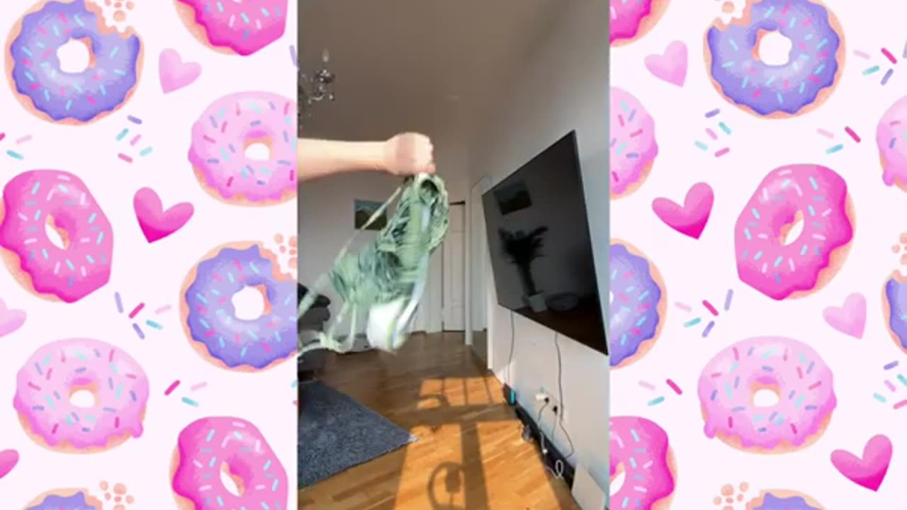 big bank tiktok challenge