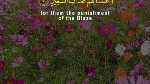 You’ll Find No Flaw | Surah Mulk 4–6 | Warning for the Deniers | Al Qamar Production