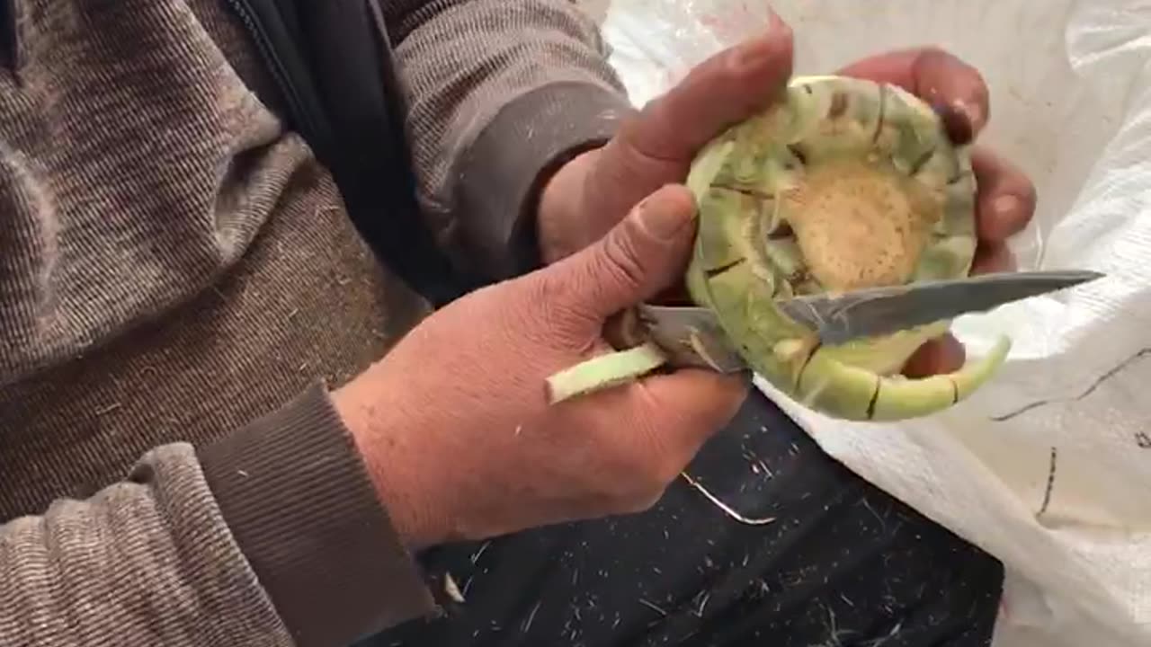 How to peel an artichoke?