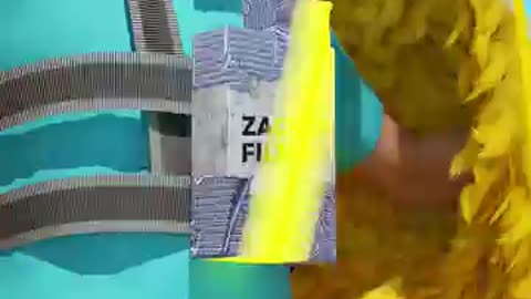 videoplayback
