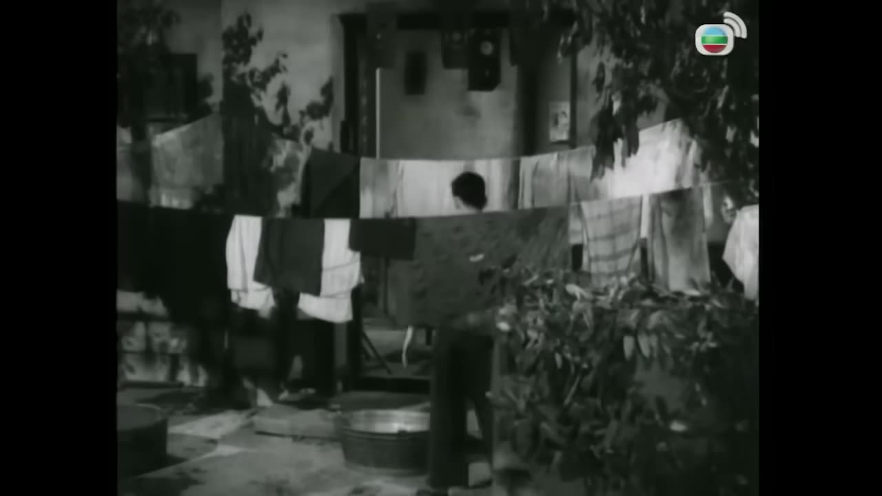傻人發達記 (1961) 乖侄 (1959)|新馬師曾|鄭碧影|