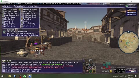Playing Final Fantasy XI Online