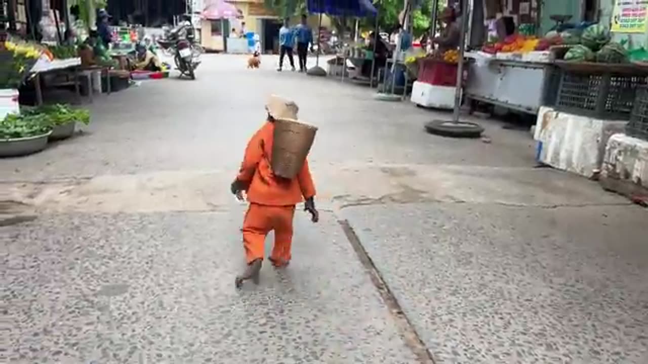 CUTIS Farmer Enlist Harvest Bitter Melon Then Sell In Smart Special Way At Market