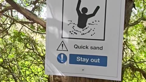 Quicksand Warning Spotted On Tree