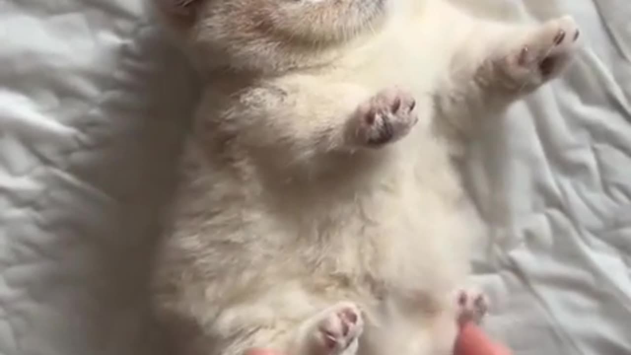 Right now, my number one priority is a comforting hug.